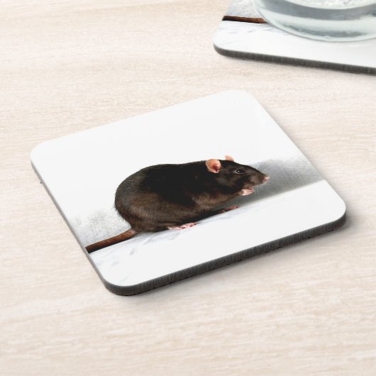 Rattencoastercina Bier Onderzetter (Linkerzijde)