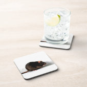 Rattencoastercina Bier Onderzetter (Rechterzijde)