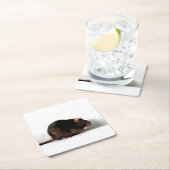 Rattencoastercina Kartonnen Onderzetters (Insitu)