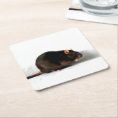 Rattencoastercina Kartonnen Onderzetters (Schuin)