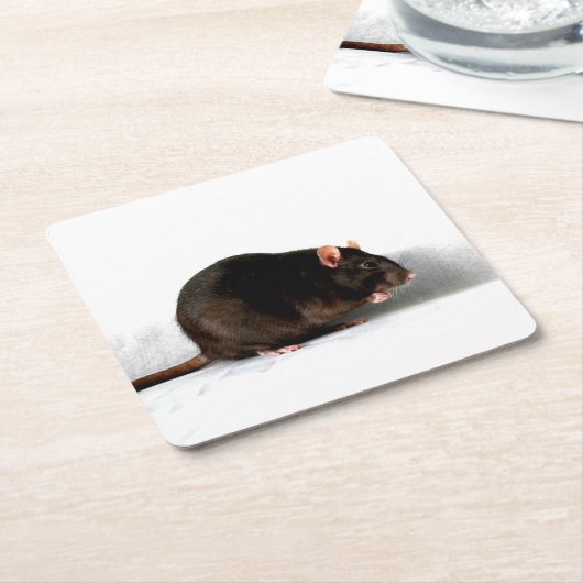 Rattencoastercina Kartonnen Onderzetters (Schuin)