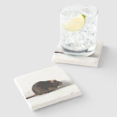 Rattencoastercina Stenen Onderzetter (Zijkant)