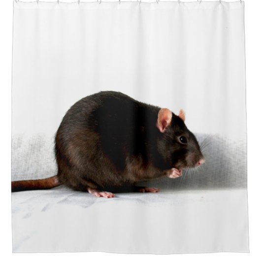 Rattenscan Douchegordijn (Voorkant)