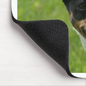 rattenschild muismat (Hoek)