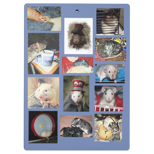 Rattie-klembord Klembord (Achterkant)