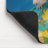 Rattie Muismat (Hoek)