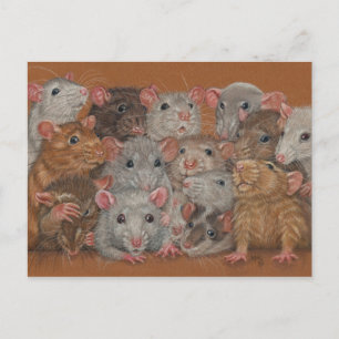Rattie Reunion III briefkaart bende ratten