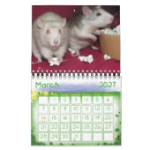 Ratties! (kleine) kalender (Mar 2027)