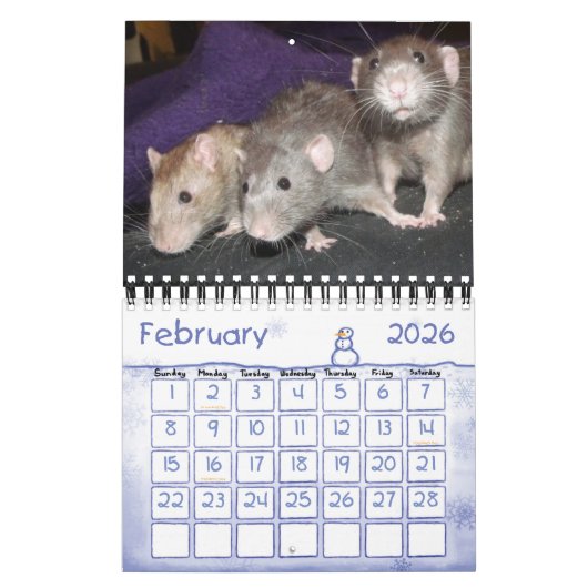 Ratties! (kleine) kalender (Feb 2026)