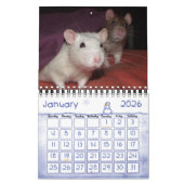 Ratties! (kleine) kalender (Jan 2026)