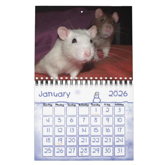 Ratties! (kleine) kalender (Jan 2026)