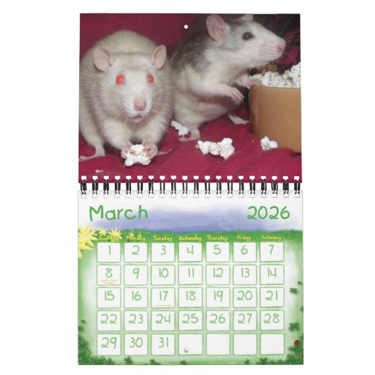 Ratties! (kleine) kalender (Mar 2026)