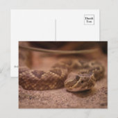 Rattle Briefkaart (Voorkant / Achterkant)