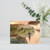 Rattle Snake Briefkaart (Staand voorkant)