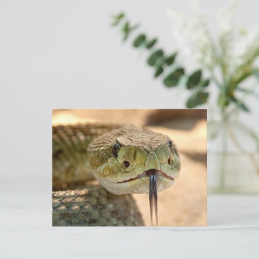 Rattle Snake Briefkaart (Staand voorkant)