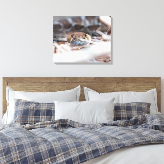 Rattle Snake Canvas Afdruk (Insitu (Slaapkamer))