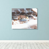 Rattle Snake Canvas Afdruk (Insitu (Houten vloer))
