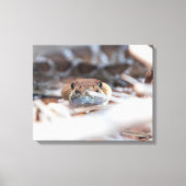 Rattle Snake Canvas Afdruk (Voorkant)