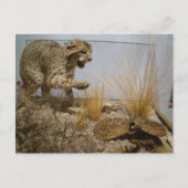 Rattle Snake vs Bobcat Briefkaart (Voorkant)