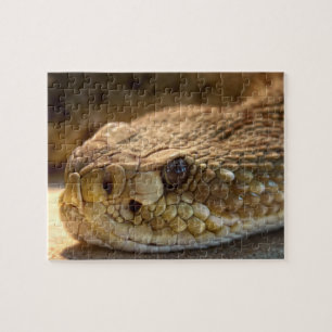 Rattle Snake's Head Legpuzzel