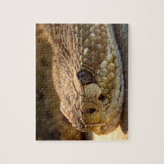 Rattle Snake's Head Legpuzzel (Verticaal)