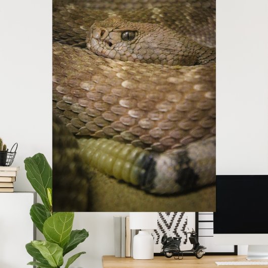 rattler poster (Thuiskantoor)