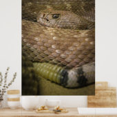 rattler poster (Keuken)