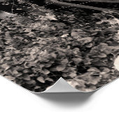 Rattler Snaks Poster (Hoek)