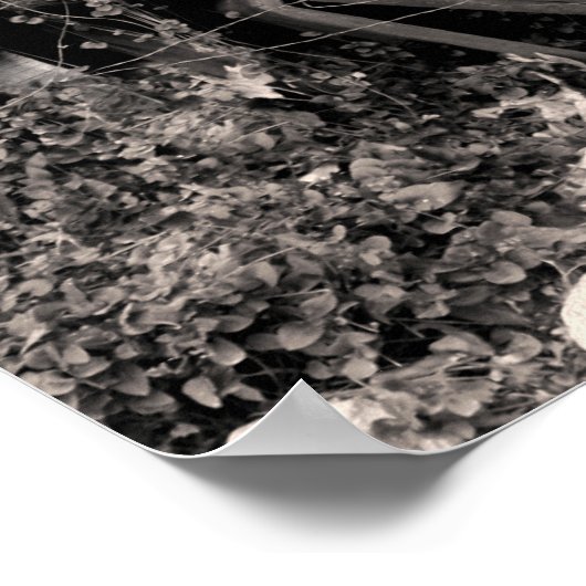 Rattler Snaks Poster (Hoek)