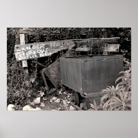 Rattler Snaks Poster (Voorkant)