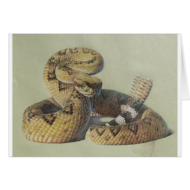 Rattlesnake (Voorkant Horizontaal)