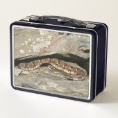 Rattlesnake at Shenandoah National Park (Achterkant)