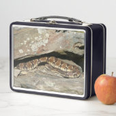 Rattlesnake at Shenandoah National Park (In situ)