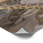 Rattlesnake Attack Poster (Hoek)