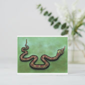 Rattlesnake Briefkaart (Staand voorkant)