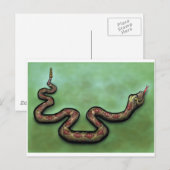 Rattlesnake Briefkaart (Voorkant / Achterkant)