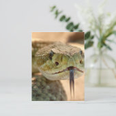 Rattlesnake Closeup Foto Briefkaart (Staand voorkant)