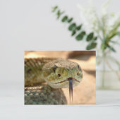 Rattlesnake Closeup Foto Briefkaart (Staand voorkant)