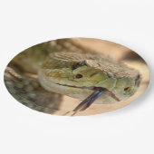 Rattlesnake Closeup Foto Papieren Bordje (Gekanteld)
