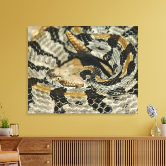 Rattlesnake Coil hout Canvas Afdruk (Insitu (Woonkamer))