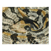 Rattlesnake Coil hout Foto Afdruk (Voorkant)