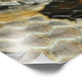 Rattlesnake Coil hout Foto Afdruk (Hoek)