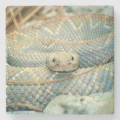 Rattlesnake Drink Onderzetter (Voorkant)