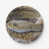 Rattlesnake foto papieren bordje (Voorkant)