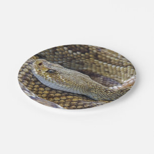 Rattlesnake foto papieren bordje