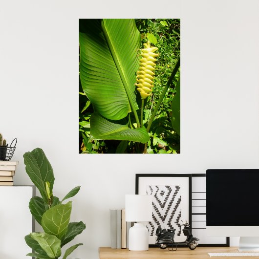 Rattlesnake Ginger Poster (Thuiskantoor)