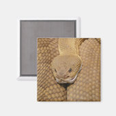 Rattlesnake Head Magneet (Voorkant / Achterkant)