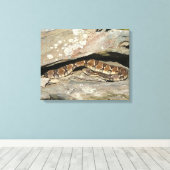 Rattlesnake in het Nationaal Park Shenandoah Canvas Afdruk (Insitu (Houten vloer))