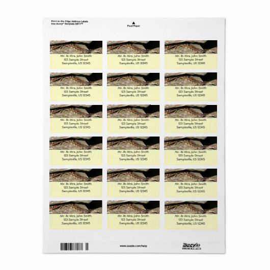 Rattlesnake in het Nationaal Park Shenandoah Etiket (Full Sheet)