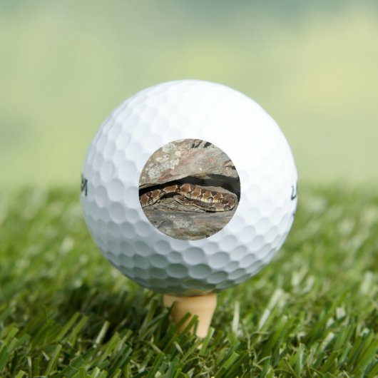 Rattlesnake in het Nationaal Park Shenandoah Golfballen (Insitu Shirt)